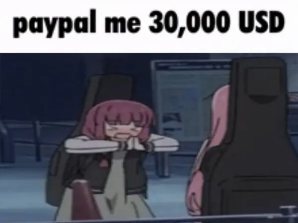 paypal me 30,000 USD
