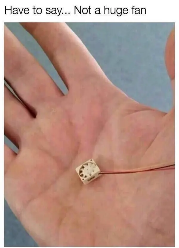 Have to say... Not a huge fan