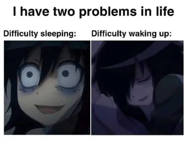 | have two problems in life

Difficulty sleeping: Difficulty waking up: