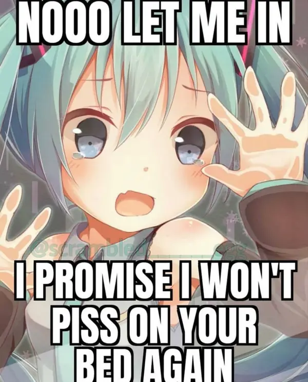 NOOO LET ME IN

I PROMISE I WON'T
PISS ON YOUR
BED AGAIN

@scrambled______egg
