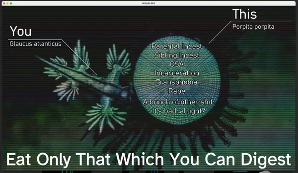 questa è una schermata di content warning molto creativa