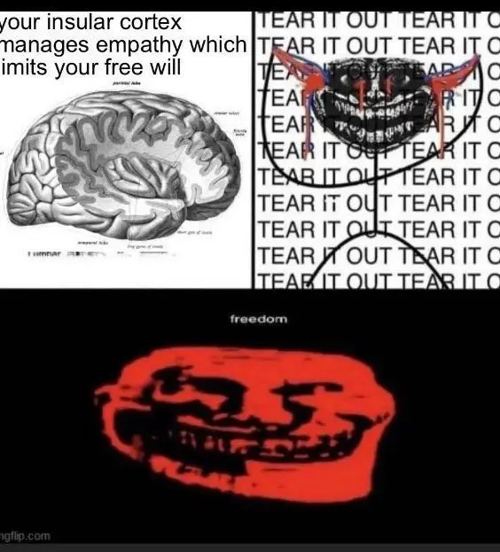 This Pin was discovered by wh1teboard. Discover (and save!) your own Pins on Pinterest