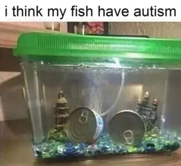 i think my fish have autism