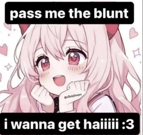 pass me the blunt

i wanna get haiiiii :3

@m3lody0nmars