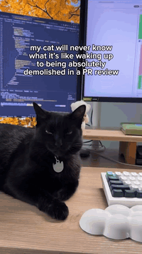 it’s ok bbygirl focus on being cute, I’ll age ungracefully for ya 💀

(this is a joke btw, my team is the best at giving feedback and I love them for that).

I love working with super talented engineers but dang sometimes getting called out on super silly stuff stings and still feels a bit embarrassing. Like WHY DID I NOT THINK ABOUT DOING IT THIS WAY FROM THE GET-GO?!

But it's all a learning experience :]

Sálganse de GitHub, quiero estar sola 😭

Los quiero baiiii ❤️
-