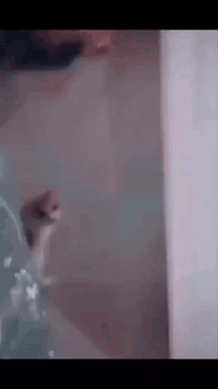 Più o meno sento e vedo cosí