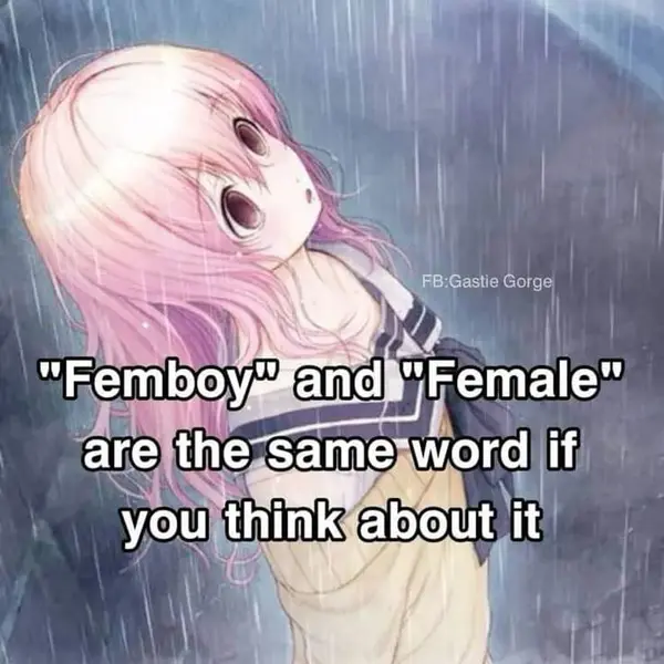 "Femboy" and "Female"
are the same word if
you think about it

FB:Gastie Gorge