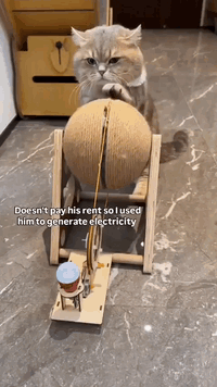 By Manuel, fornitore ufficiale
@gastabot