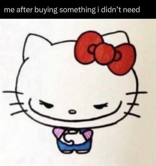 me after buying something i didn’t need