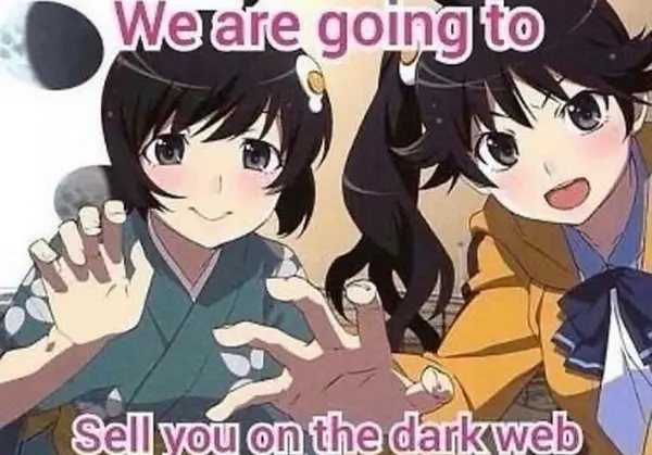 We are going to

Sell you on the dark web