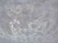 Per chi volesse diventare fan del twist su facebook:     http://www.facebook.com/home.php?#/pages/Twist-di-Gesu-Crist/51389815207
(vi consiglio di vedere anche il twist di gesù crist 2)

Almeno una volta nella vita
tutti noi ci siamo chiesti:
Ma quando Gesù Cristo era giovane,
sarà andato in discoteca?
e la risposta è SI.
Recentemente alcuni archeologi hanno ritrovato in un baule,degli antichi spartiti musicali di 2000 anni fa,e adesso,questi spartiti li suoniamo per voi.
Attacca maestro Isaicol.

TWIST TWIST DI GESU' CRIST,
TWIST TWIST DI GESU' CRIST,
TWIST TWIST DI GESU' CRIST,
Questo è il TWIST DI GESU' CRIST,
balla il TWIST e non sarai più trist!

Questo è il ballo di Betlemme,
questo ritmo è molto bello,
balla il bue e l'asinello.

TWIST TWIST DI GESU' CRIST,
TWIST TWIST DI GESU' CRIST,
TWIST TWIST DI GESU' CRIST,
Questo è il TWIST DI GESU' CRIST,
balla il TWIST e non sarai più trist!

Sale e scende la marea,
balla tutta la giudea,
questo è il TWIST di Gesù Crist,
si,risale all'anno zero,
questo è un ballo antico vero,
BALLA IL TWIST E NON SARAI PIU' TRIST!

Questo video è stato:ideato,composto e realizzato da Alan alias JoeFredd (cioè io),con mezzi modestissimi e un fine esclusivamente LUDICO senza riferimenti o critiche verso NESSUNO.
Non ho usato nessun particolare programma per le immagini,solo molta pazienza.
Ho sentito dire da qualcuno che questo video è OLD....beh l'ho creato verso maggio 2007 non è poi così vecchio...cambiando account ho dovuto rimettere il video ed è per questo che risulta del 4 settembre ;)